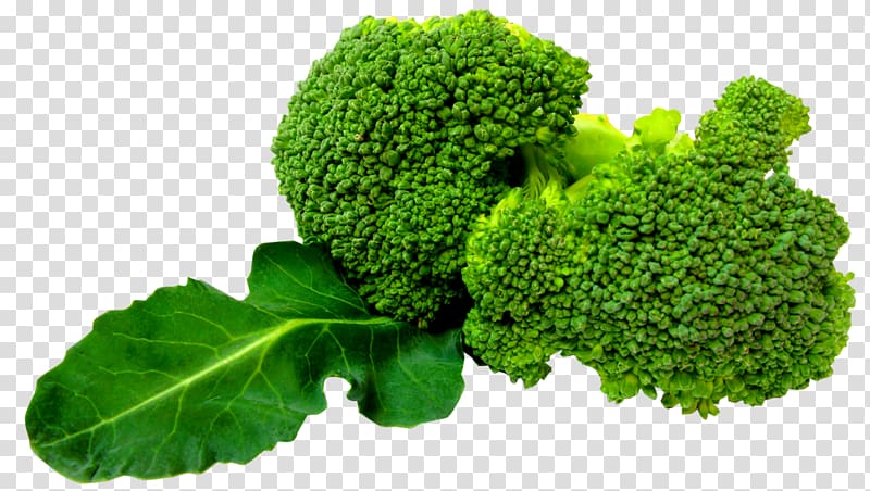 Broccoli Portable Network Graphics Cruciferous vegetables, broccoli transparent background PNG clipart