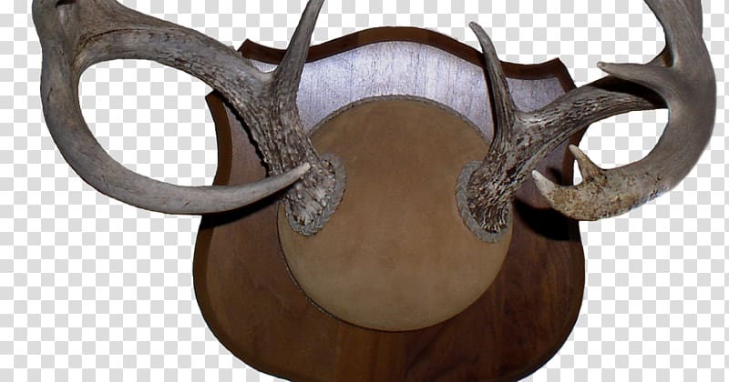 Antler Deer Horn Alaska moose Chronic wasting disease, deer transparent background PNG clipart