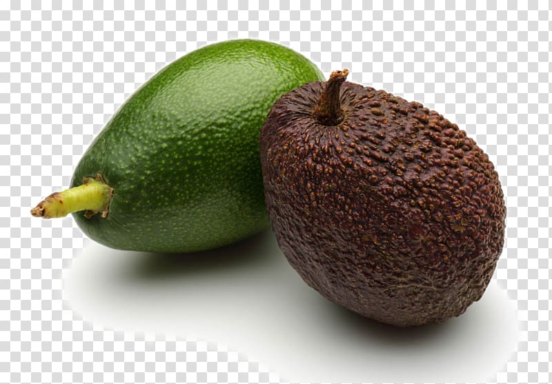 Avocado salad Kiwifruit, Fresh avocado fruit transparent background PNG clipart