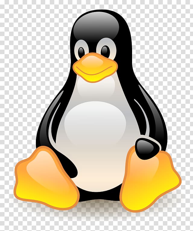 Penguin Linux Tux Computer Software , Svg Gallery transparent background PNG clipart