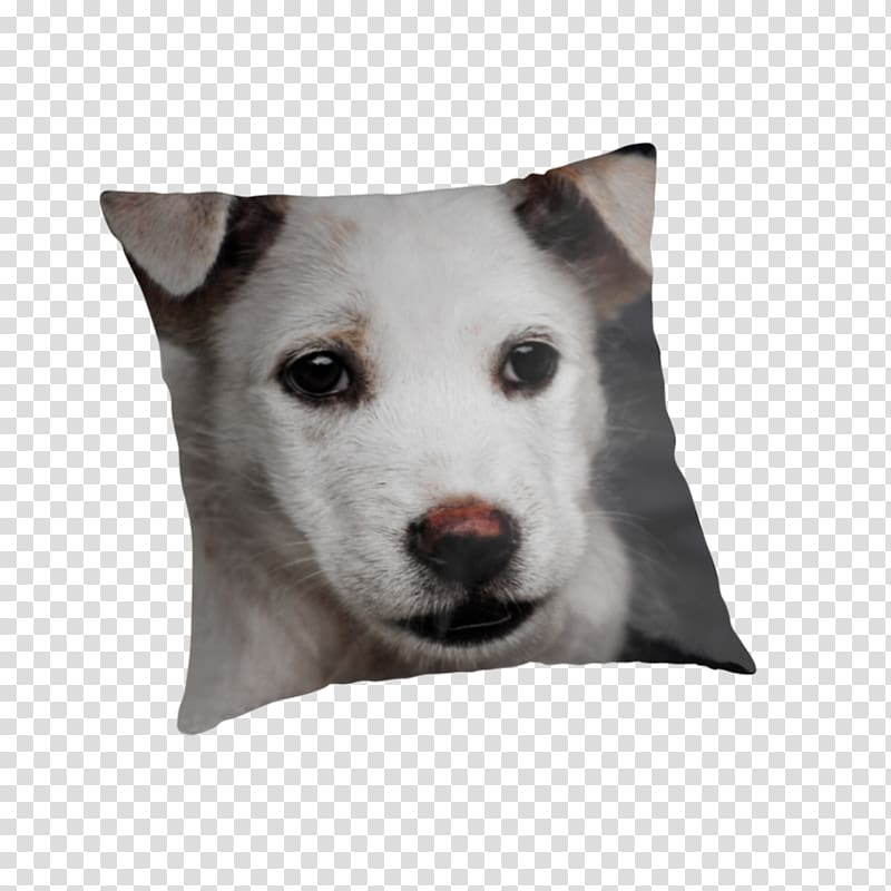 Dog breed Siberian Husky Kishu Puppy Pillow, sad Puppy transparent background PNG clipart