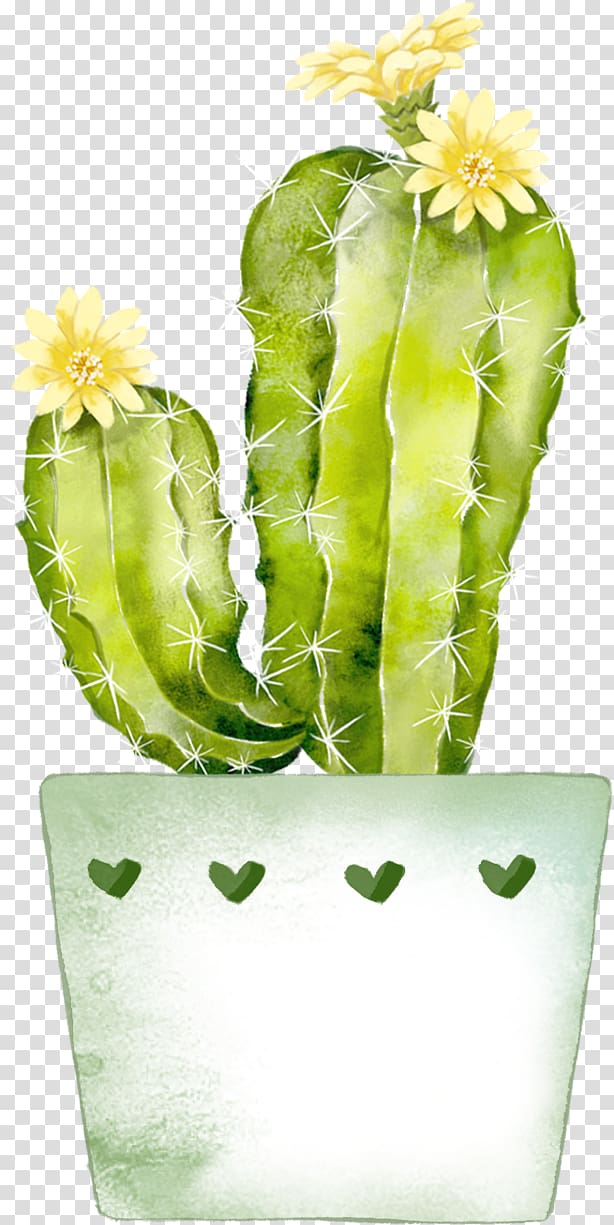 Cactaceae Watercolor painting Green, Green cartoon cactus plant transparent background PNG clipart