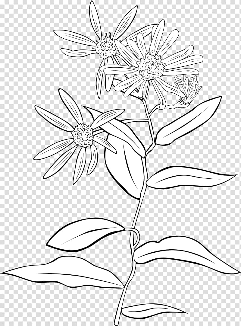 Shrubs & Trees Garden Shrubs Plant , A wild chrysanthemum transparent background PNG clipart