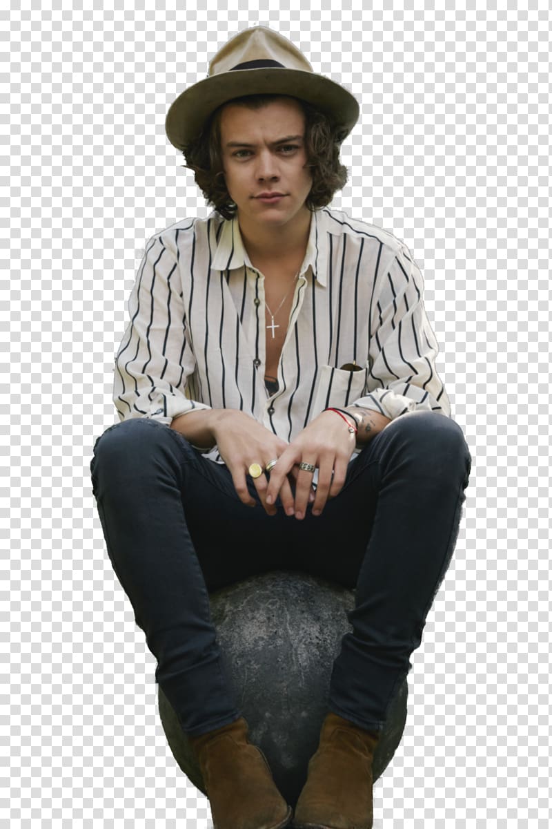Harry Styles One Direction Four Perfect, milla jovovich transparent background PNG clipart