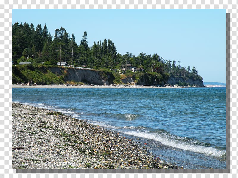 Promontory Coast Headland Beach Nature reserve, island beach transparent background PNG clipart