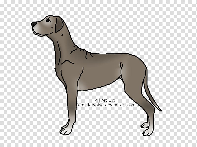 Great Dane Sloughi Irish Wolfhound Dog breed T-shirt, T-shirt transparent background PNG clipart
