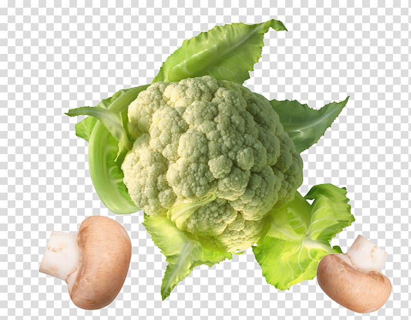 Cauliflower Cabbage file formats, Creative Kitchen cauliflower transparent background PNG clipart