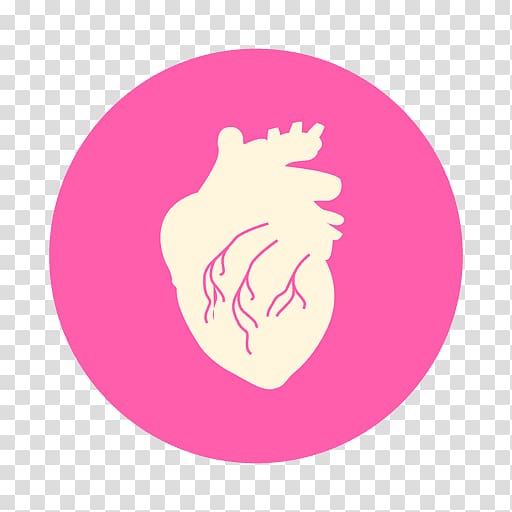 Heart Human body Lung Organism Human anatomy, heart transparent background PNG clipart