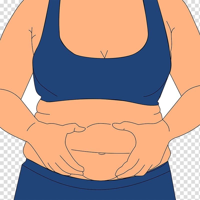 Abdominal obesity Cellulite Exercise Health, health transparent background PNG clipart