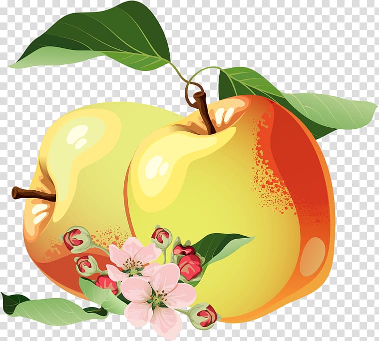 Apple Marmalade, apple transparent background PNG clipart