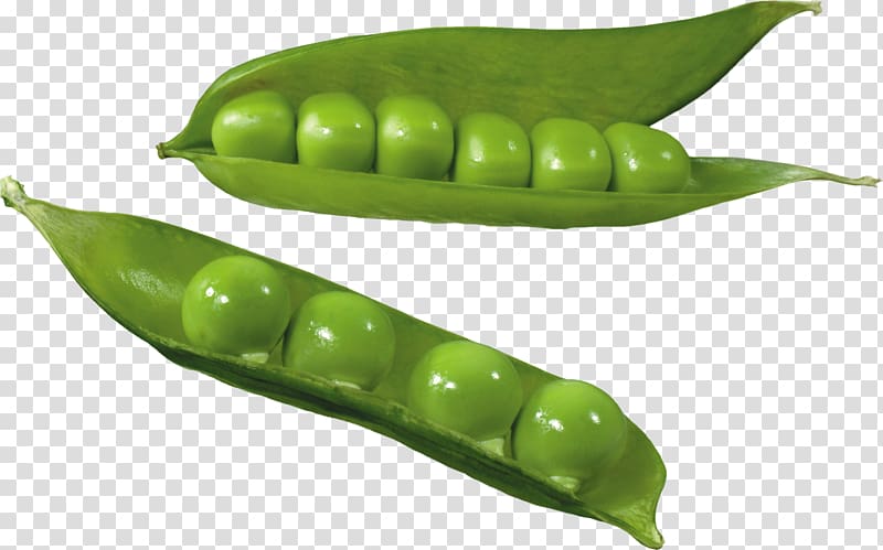 Pea transparent background PNG clipart