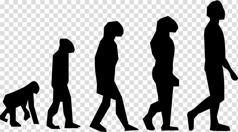 Human evolution Homo sapiens , steps transparent background PNG clipart