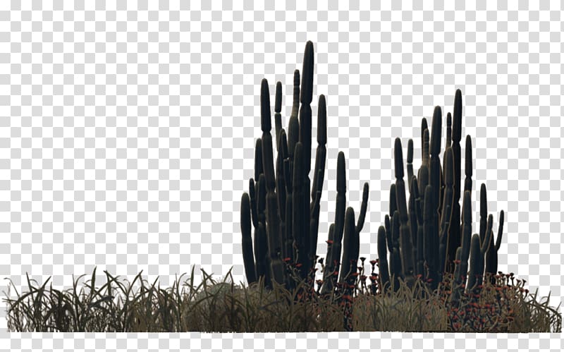 Desert Plant Shrub Viburnum lentago, Barrel Cactus transparent background PNG clipart
