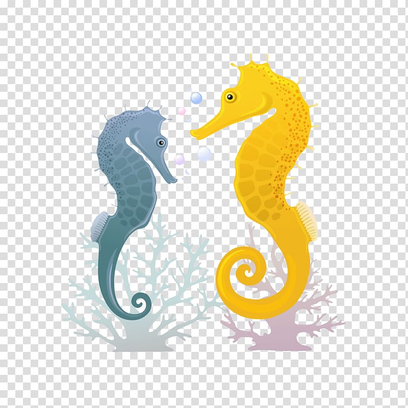 Seahorse Illustration, Seahorse illustration transparent background PNG clipart