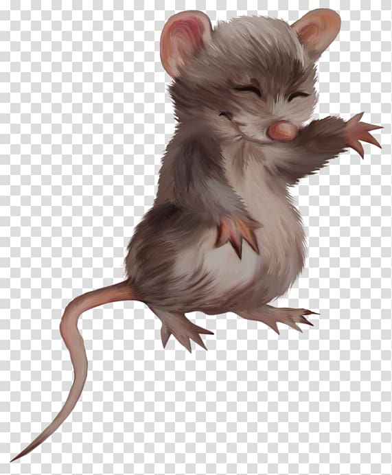 Computer mouse Rat Rodent, mouse transparent background PNG clipart
