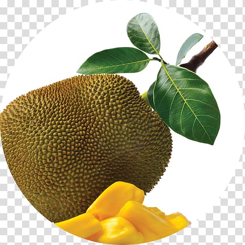 Jackfruit Fruit tree Food Vegetable, vegetable transparent background PNG clipart