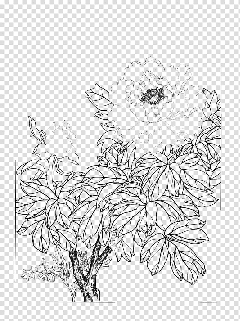 Floral design Moutan peony Gongbi, peony transparent background PNG clipart