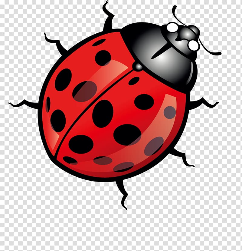 red ladybug , Beetle Ladybird Euclidean , Cartoon red bug transparent background PNG clipart