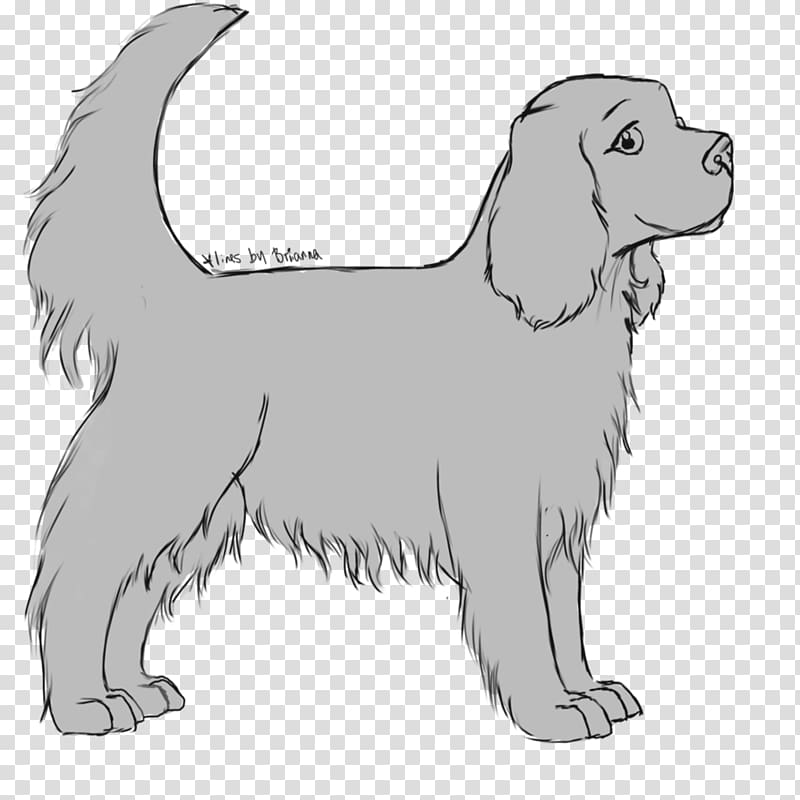 Dog breed Puppy Retriever Sporting Group Spaniel, puppy transparent background PNG clipart