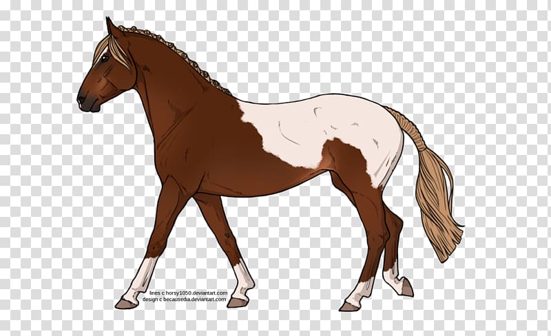 Mustang Foal Stallion Colt Pony, mustang transparent background PNG clipart