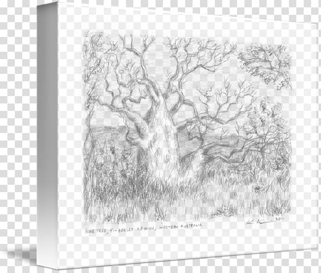 Sketch Paper Frames Tree , tree transparent background PNG clipart