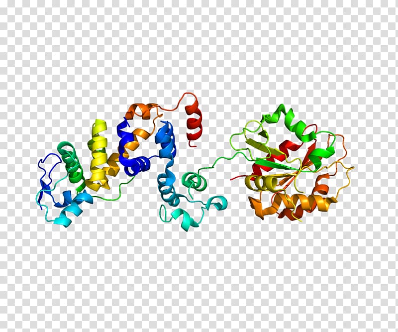 F-box protein Fbx15 Gene Protein family, others transparent background PNG clipart