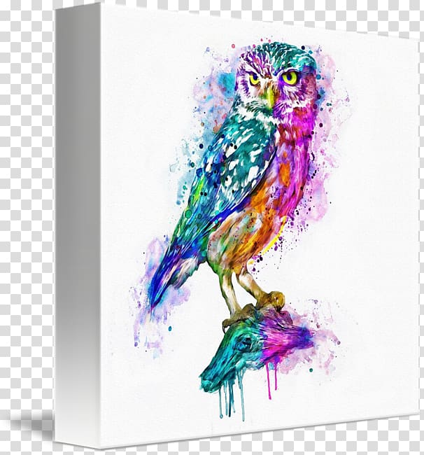 Owl Watercolor painting Canvas print Art, colorful owl transparent background PNG clipart