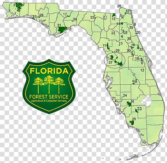 Florida National Scenic Trail United States Forest Service Map, forest transparent background PNG clipart