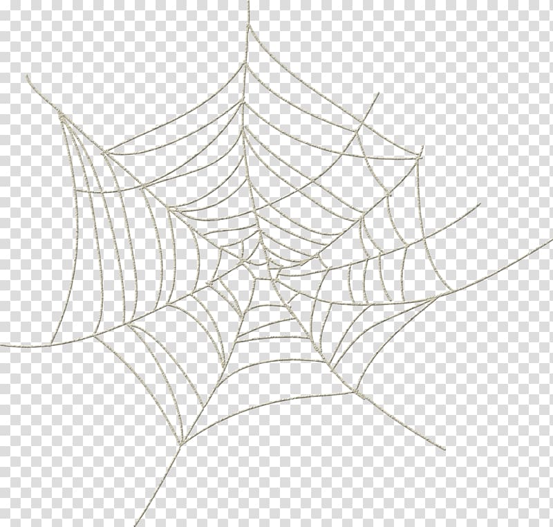 Spider web Spider silk , spider transparent background PNG clipart