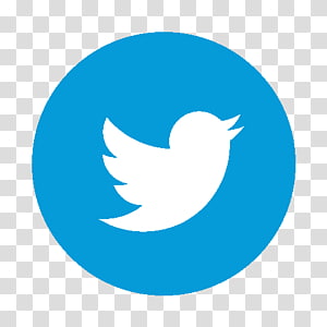 Social media Digital media Logo, social media transparent background PNG clipart thumbnail