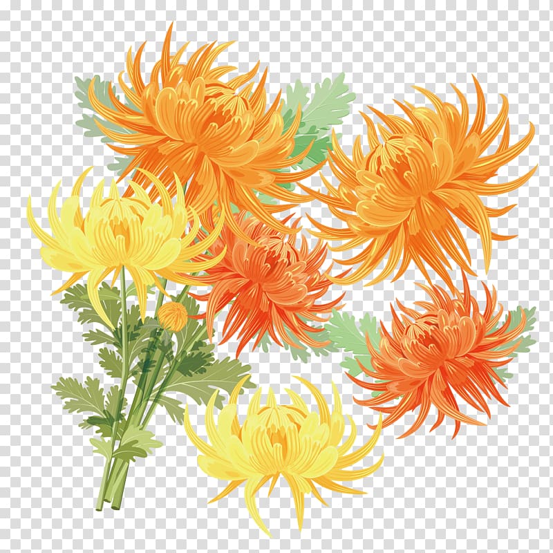 Chrysanthemum xd7grandiflorum Gold Double Ninth Festival, Hand-painted golden chrysanthemum material transparent background PNG clipart