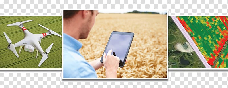 Effigis presents its nitrogen rate calculating platform SCAN at Precision Agriculture Conference & Ag Tech Showcase Farm Technology, Wheat Fealds transparent background PNG clipart
