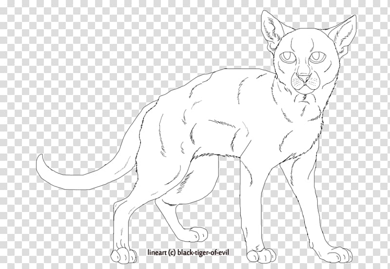 Whiskers Cat Fauna Line art Wildlife, Cat transparent background PNG clipart