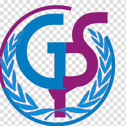Gauis Production Studio United Nations Office for the Coordination of Humanitarian Affairs United Nations Headquarters United Nations Office at Geneva Palace of Nations, social network transparent background PNG clipart