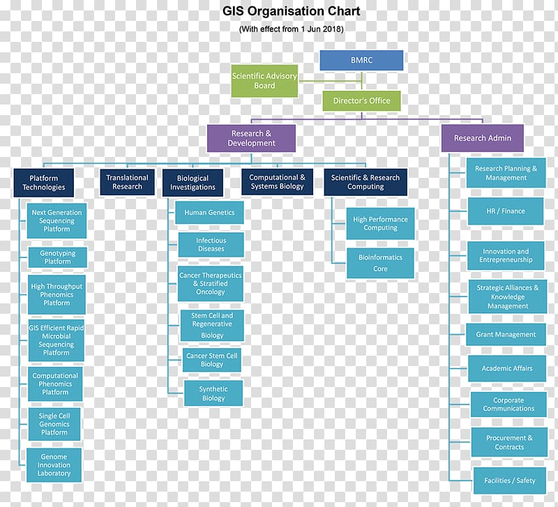 Organization Pathway Studio Molecular Cell Biology Research Information ...