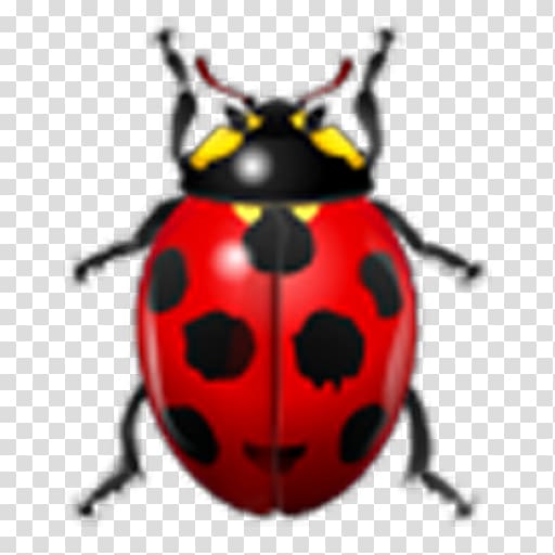 Ladybird beetle Distribution of Neurotransmitters in the Insect Brain Beetles and Other Insects, beetle transparent background PNG clipart