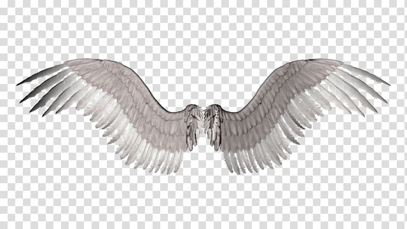 , Angel Wings transparent background PNG clipart