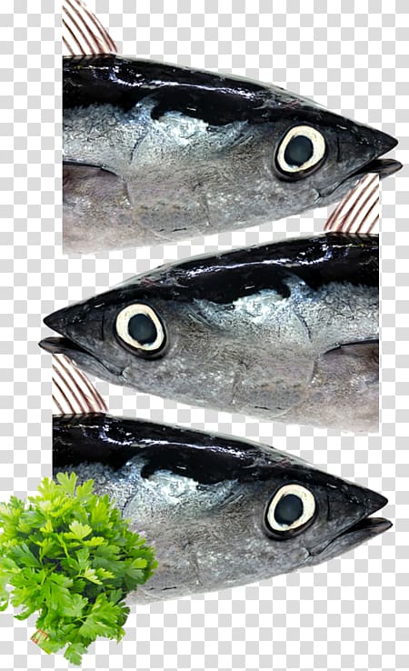 Mackerel Organic food Italy Parsley Animal source foods, italy transparent background PNG clipart