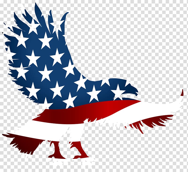 Flag of the United States T-shirt American Eagle Outfitters , Eagle Birthday transparent background PNG clipart