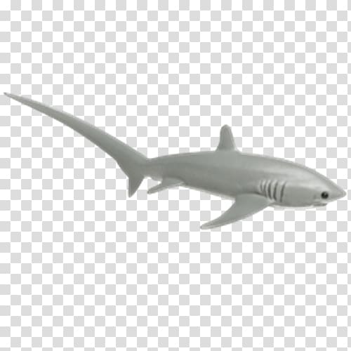 Shark Cartilaginous fishes Safari Ltd Common thresher Animal, shark transparent background PNG clipart