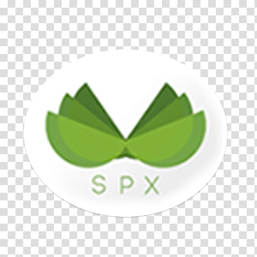 Logo Financial plan Leaf Organization Investment, Leaf transparent background PNG clipart