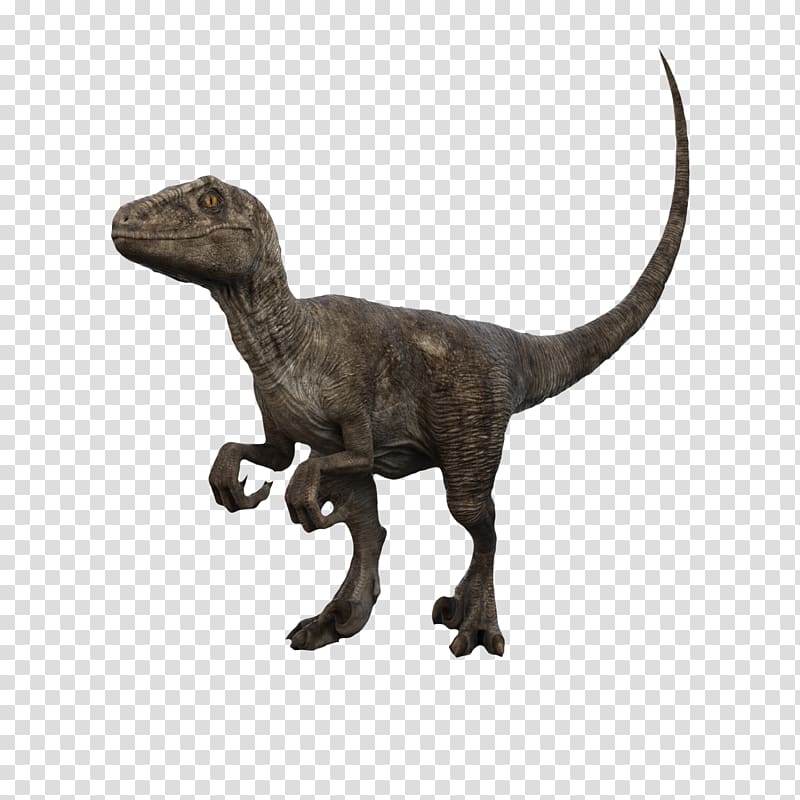 brown T-Rex illustration, Velociraptor Tyrannosaurus Brachiosaurus Pteranodon Dinosaur, 3D dinosaur claws transparent background PNG clipart