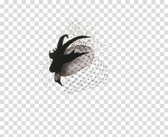 Religious Veils Pillbox hat Headgear Portable Network Graphics, birdcage veil crystals transparent background PNG clipart