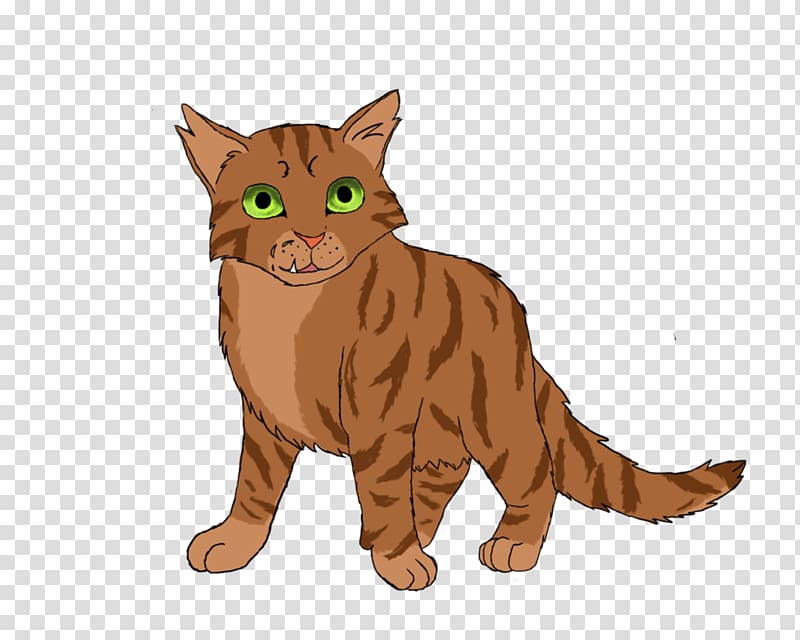 Tabby cat Wildcat Whiskers Crookedstar, warrior cat drawings transparent background PNG clipart