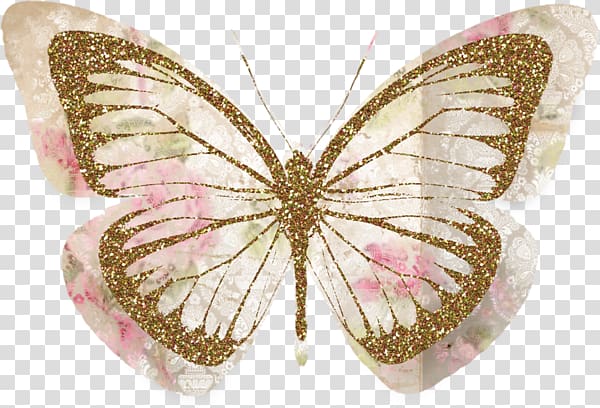 hand colored butterfly transparent background PNG clipart