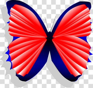 Butterfly Blue Red Limenitis arthemis , Tricolor butterfly transparent background PNG clipart thumbnail
