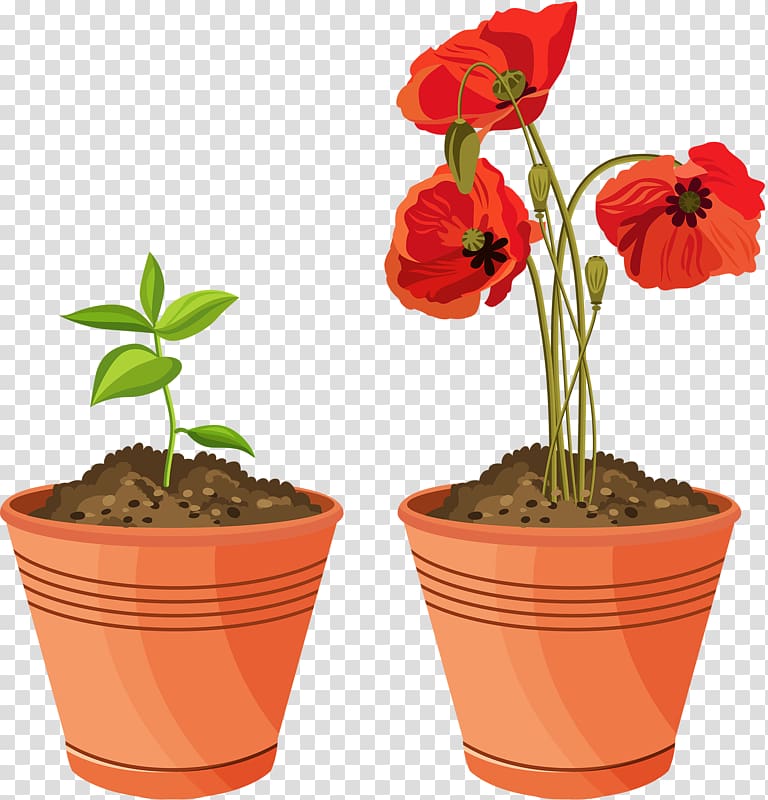 Flowerpot Floral Illustrations Garden Potting soil , hand painted scenery transparent background PNG clipart
