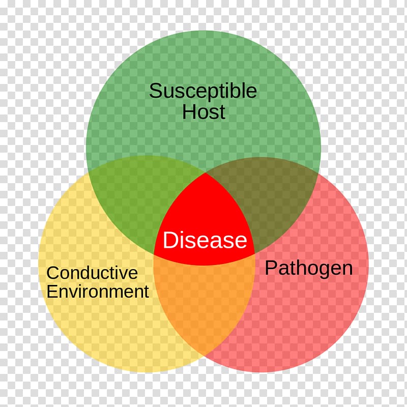 Plant pathology Eradication of infectious diseases Health Care, plant transparent background PNG clipart