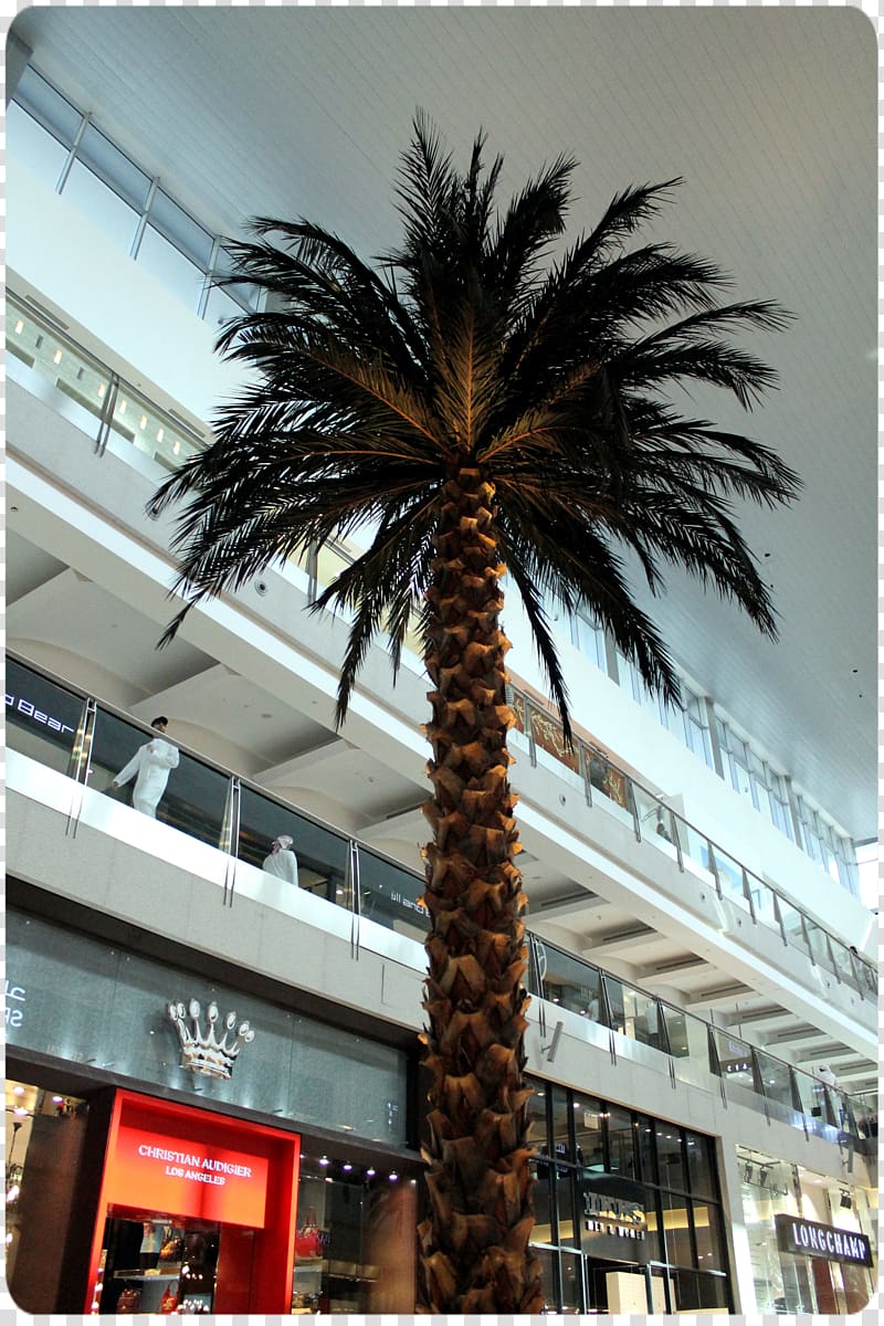 Arecaceae Asian palmyra palm Date palm Plant Tree, burj khalifa transparent background PNG clipart