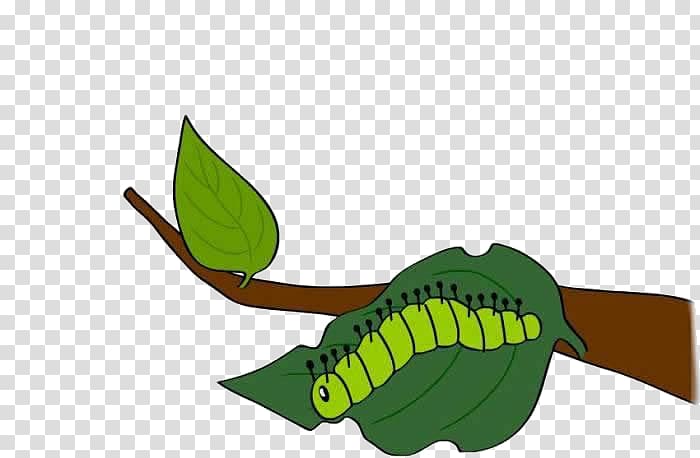 The Very Hungry Caterpillar Insect Butterfly Animal, Green leaves on caterpillars transparent background PNG clipart